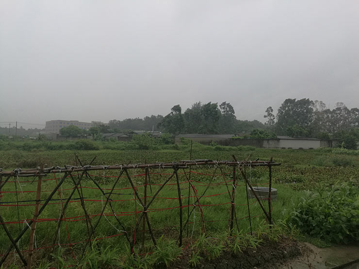 首页- 人生就是博中国官方网站