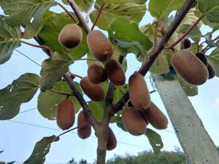 首页- 人生就是博中国官方网站