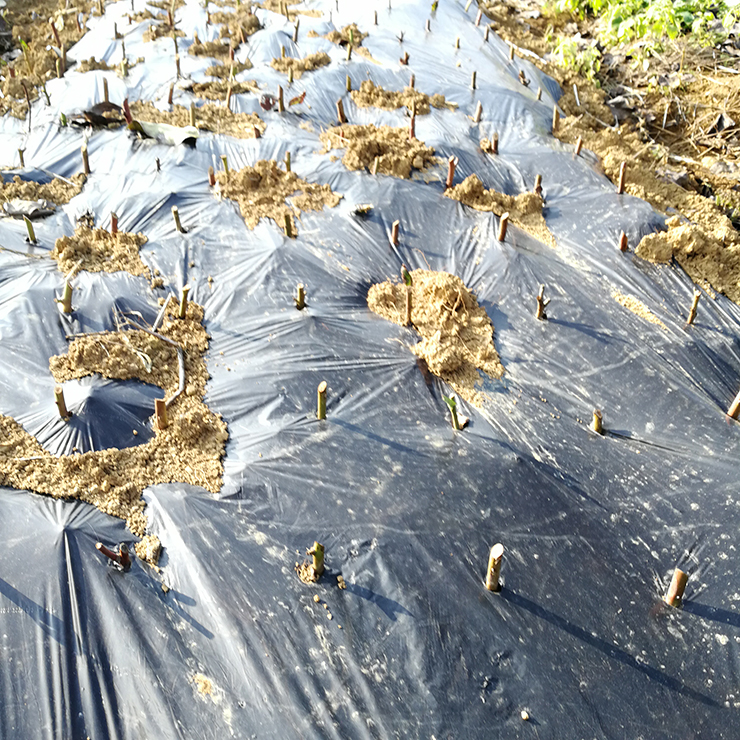 首页- 人生就是博中国官方网站