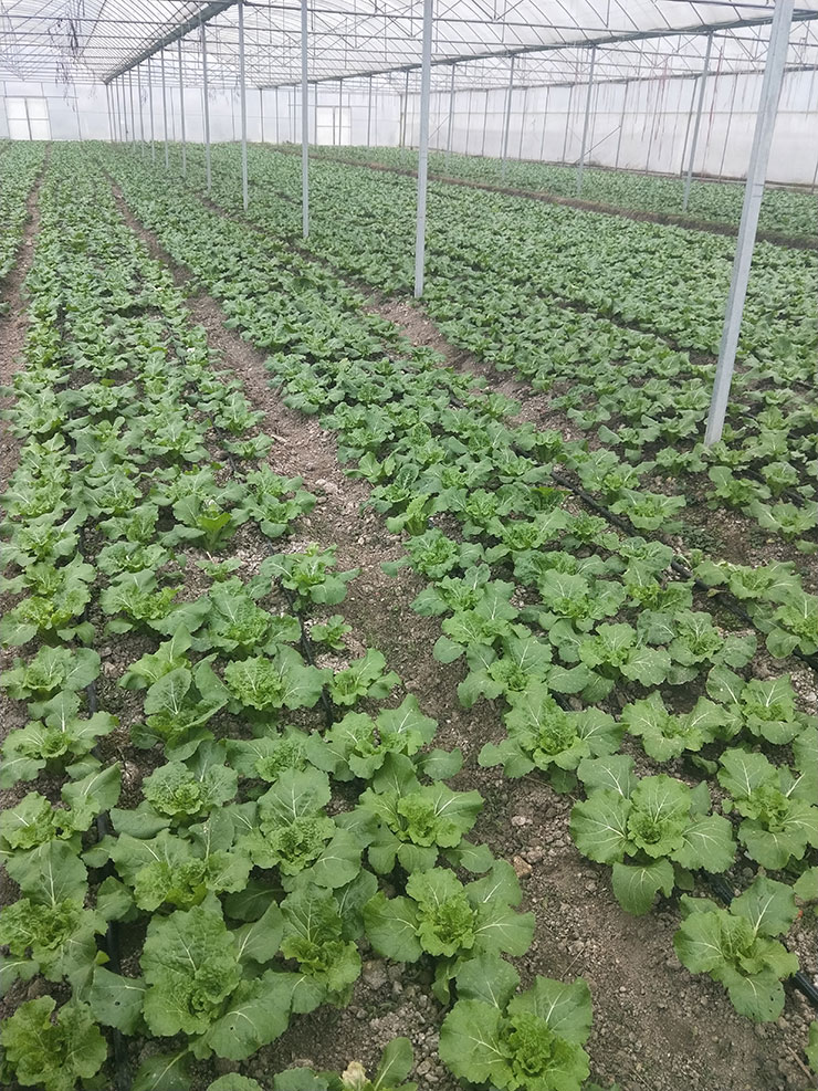 首页- 人生就是博中国官方网站