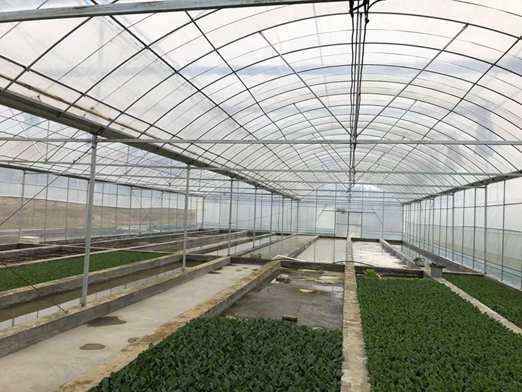 首页- 人生就是博中国官方网站