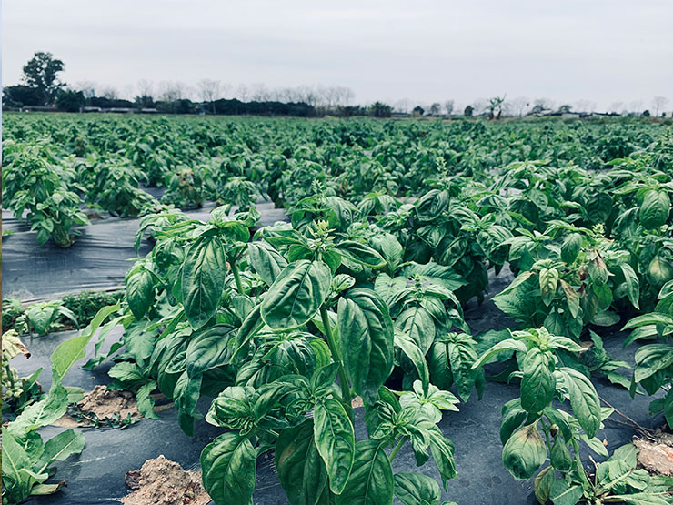 首页- 人生就是博中国官方网站
