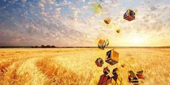 首页- 人生就是博中国官方网站