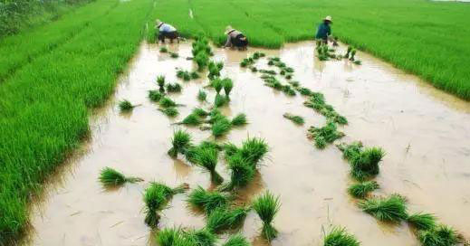 首页- 人生就是博中国官方网站