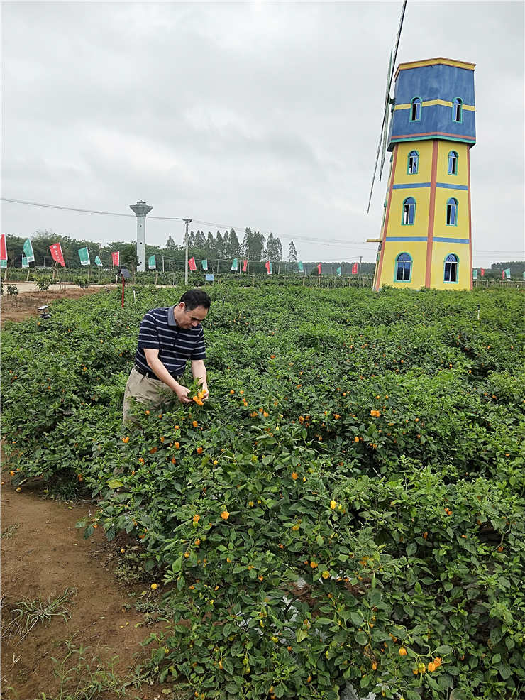 首页- 人生就是博中国官方网站
