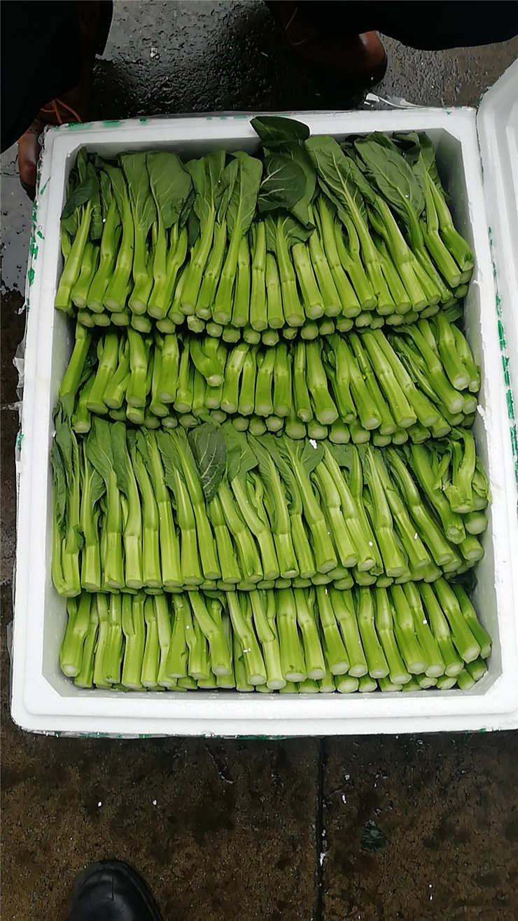 首页- 人生就是博中国官方网站