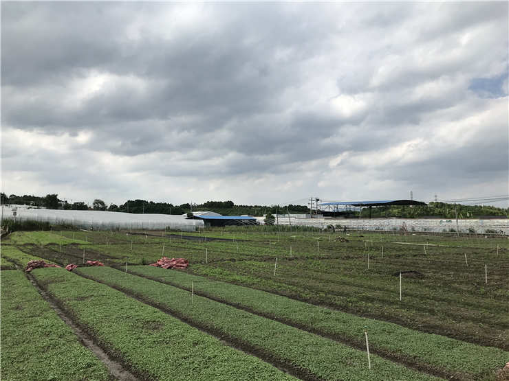 首页- 人生就是博中国官方网站