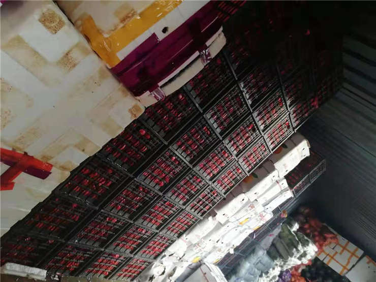 首页- 人生就是博中国官方网站