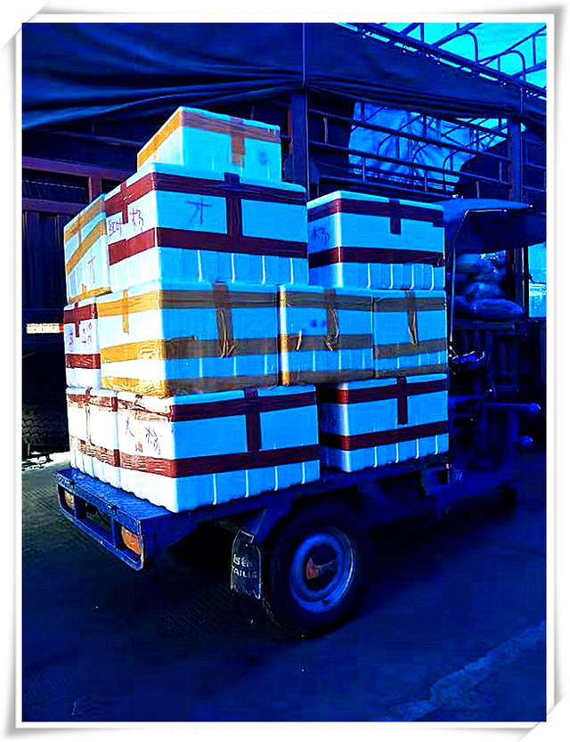 首页- 人生就是博中国官方网站