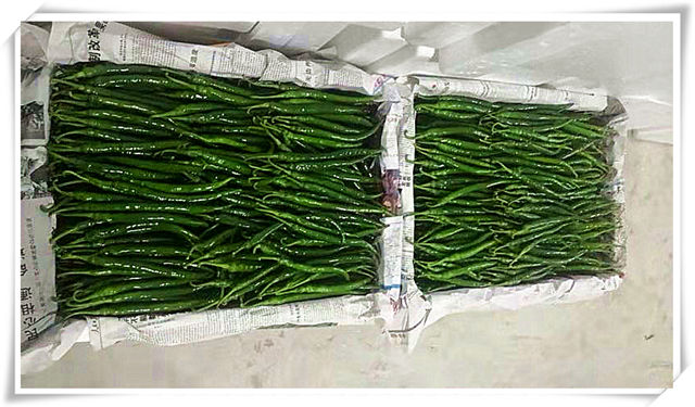 首页- 人生就是博中国官方网站