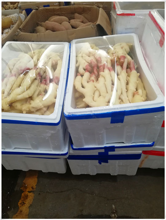 首页- 人生就是博中国官方网站