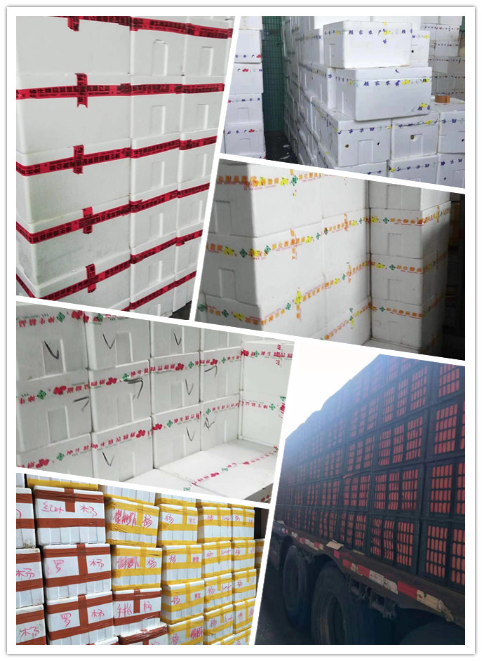 首页- 人生就是博中国官方网站