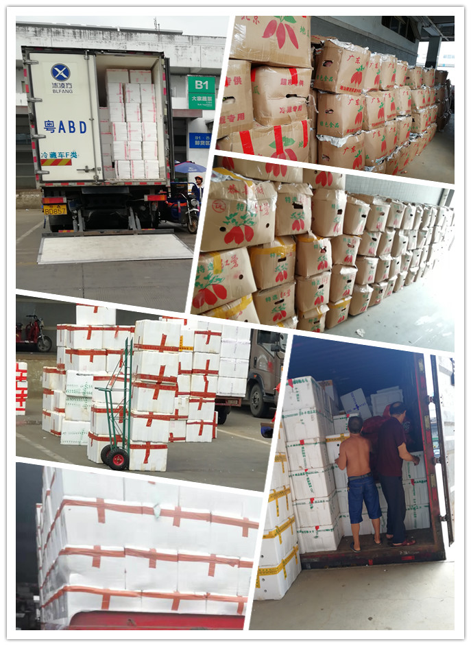 首页- 人生就是博中国官方网站