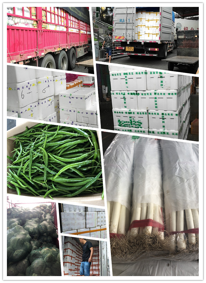 首页- 人生就是博中国官方网站