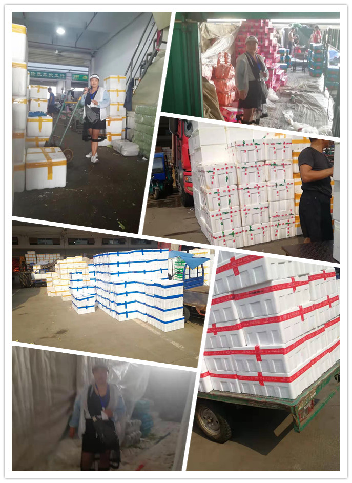 首页- 人生就是博中国官方网站