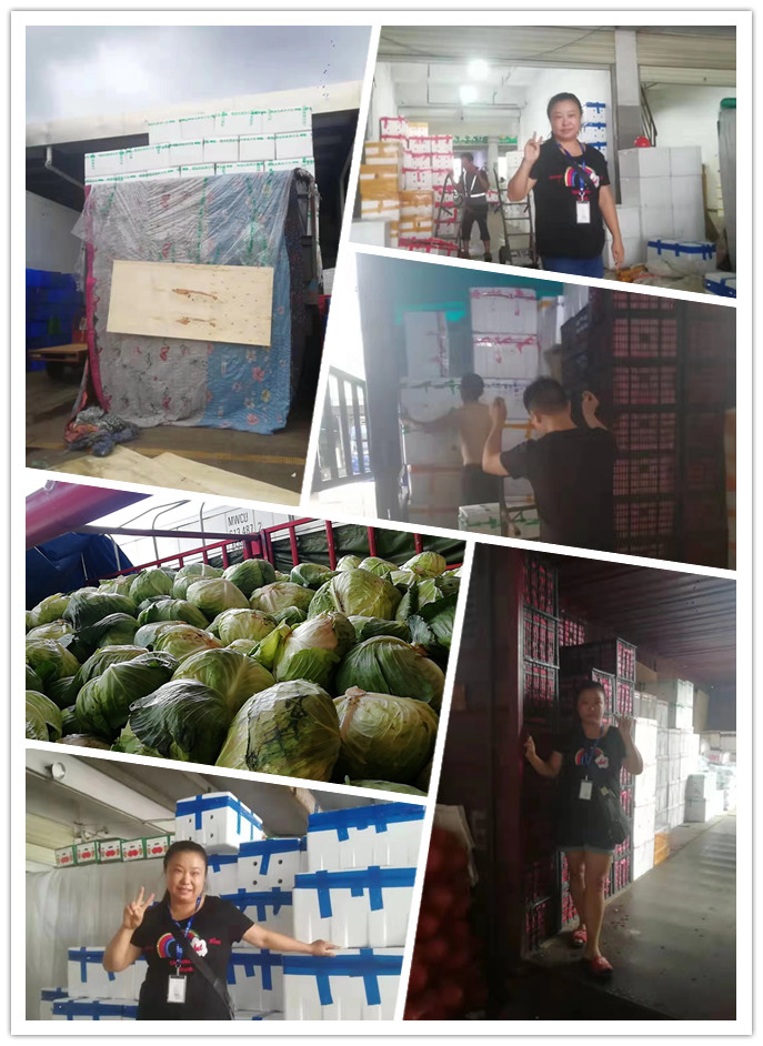 首页- 人生就是博中国官方网站