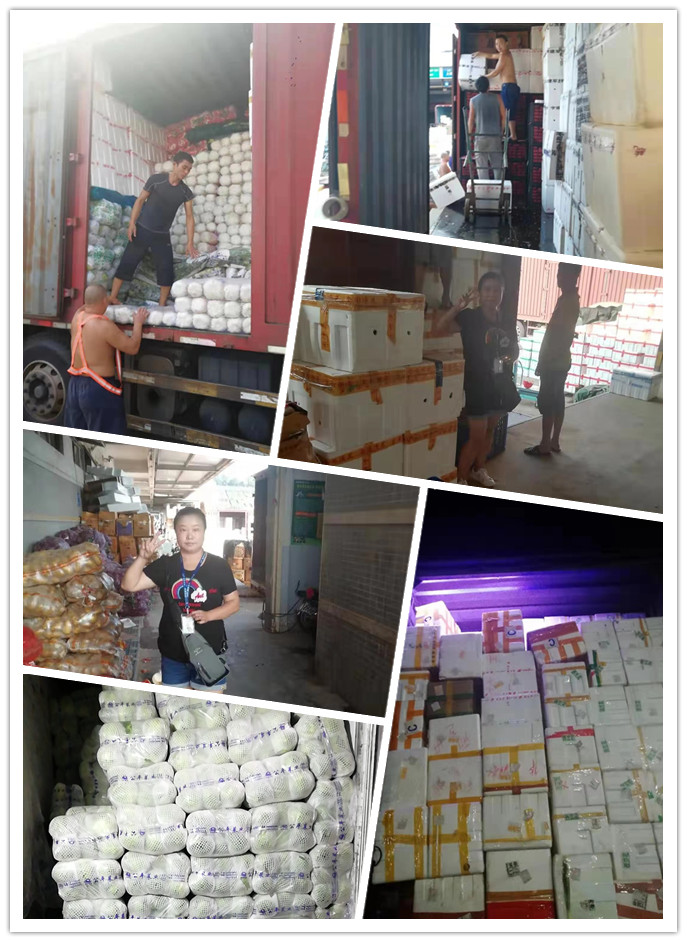 首页- 人生就是博中国官方网站