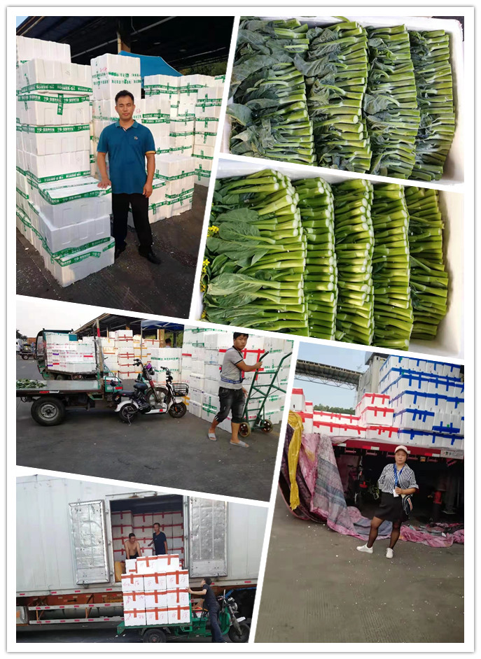 首页- 人生就是博中国官方网站