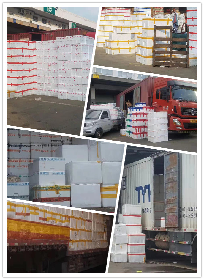 首页- 人生就是博中国官方网站