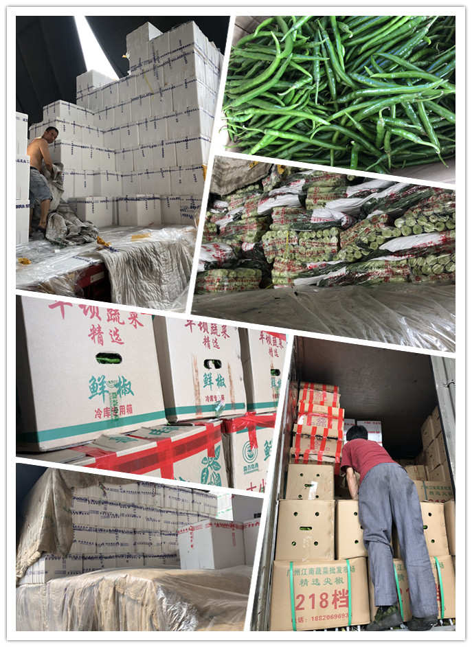 首页- 人生就是博中国官方网站