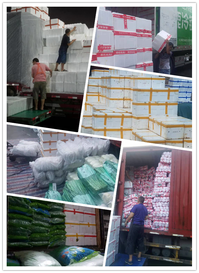 首页- 人生就是博中国官方网站