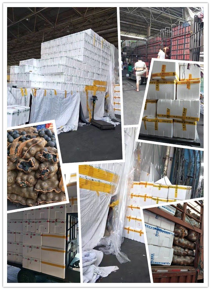 首页- 人生就是博中国官方网站