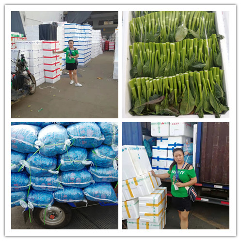 首页- 人生就是博中国官方网站