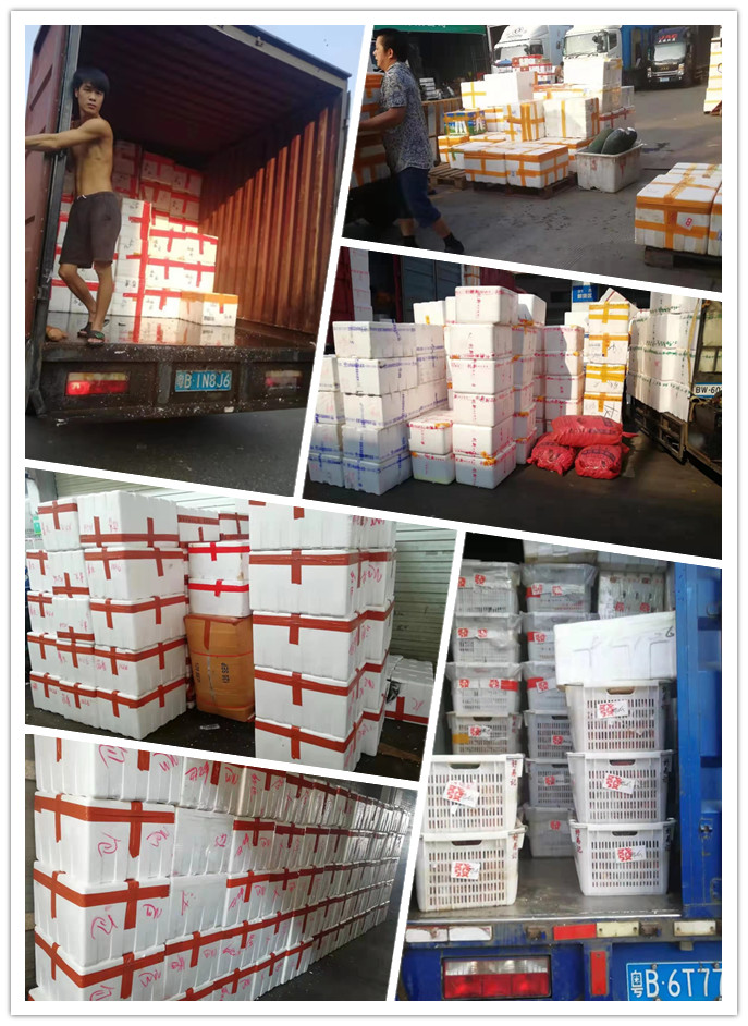 首页- 人生就是博中国官方网站