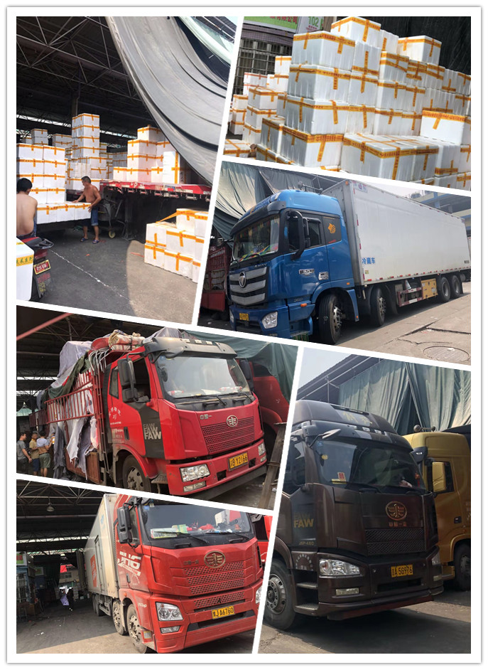 首页- 人生就是博中国官方网站