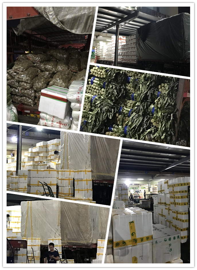 首页- 人生就是博中国官方网站