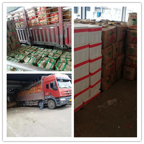 首页- 人生就是博中国官方网站