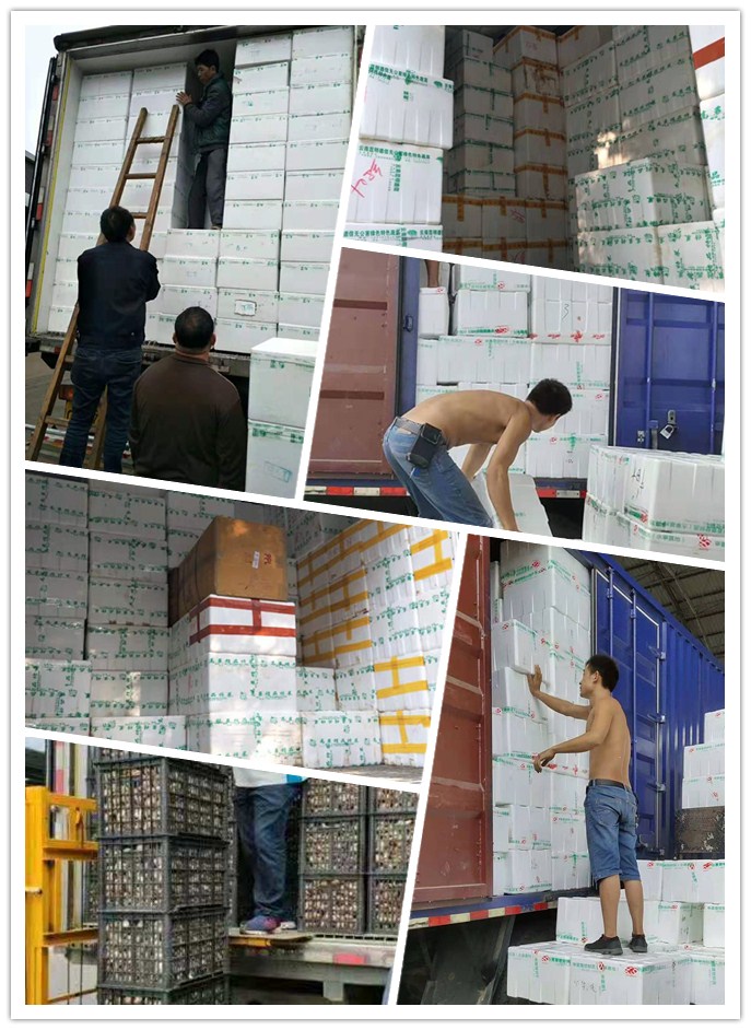 首页- 人生就是博中国官方网站