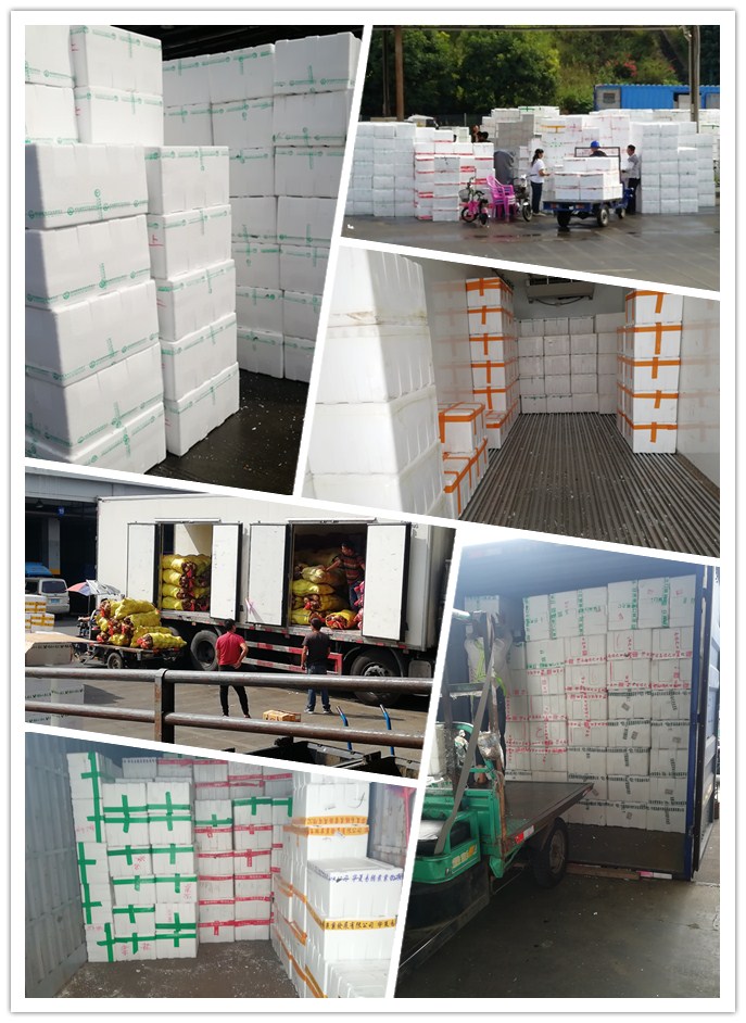 首页- 人生就是博中国官方网站