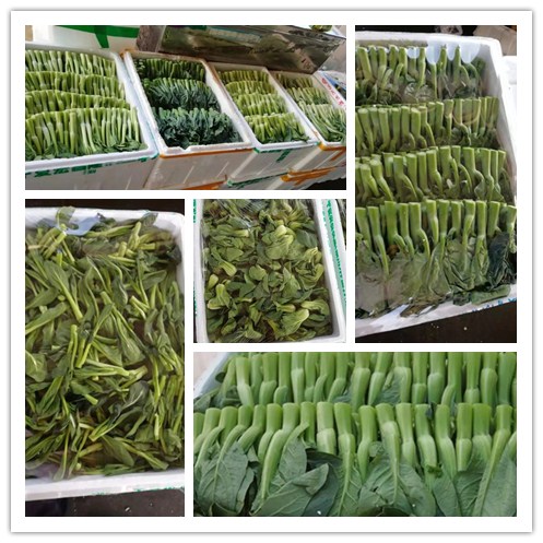 首页- 人生就是博中国官方网站