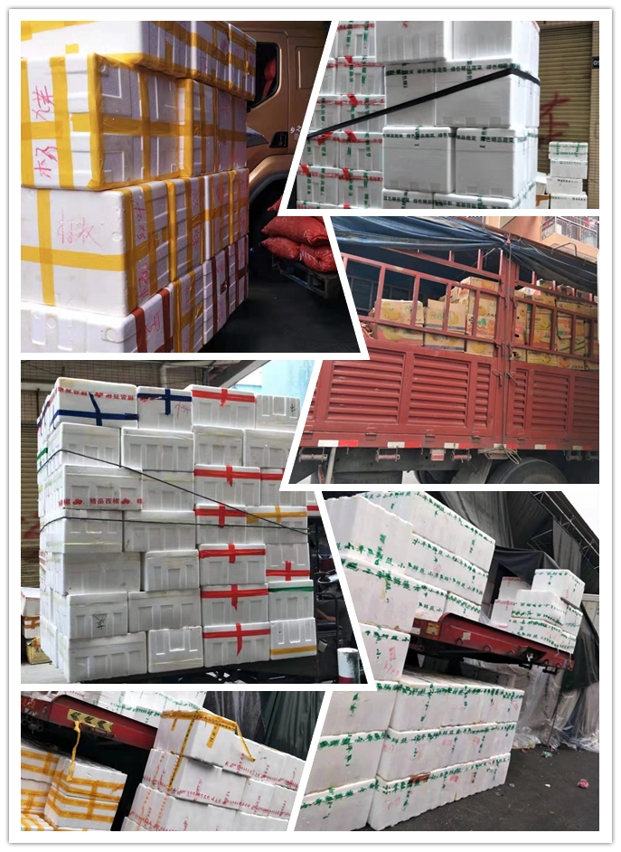 首页- 人生就是博中国官方网站