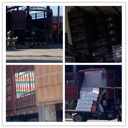 首页- 人生就是博中国官方网站