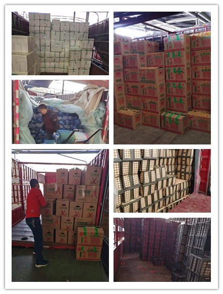 首页- 人生就是博中国官方网站