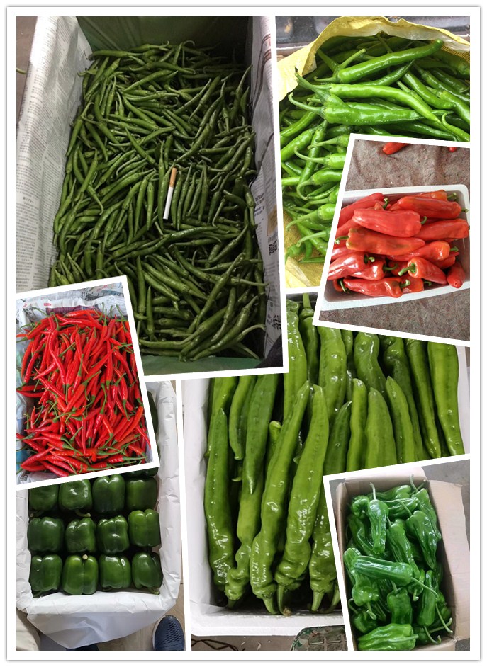 首页- 人生就是博中国官方网站