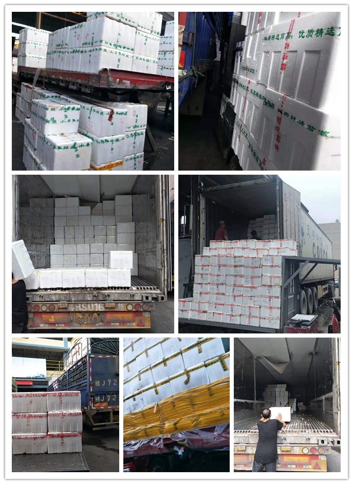 首页- 人生就是博中国官方网站