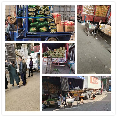 首页- 人生就是博中国官方网站