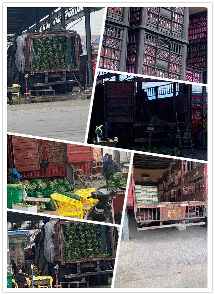 首页- 人生就是博中国官方网站