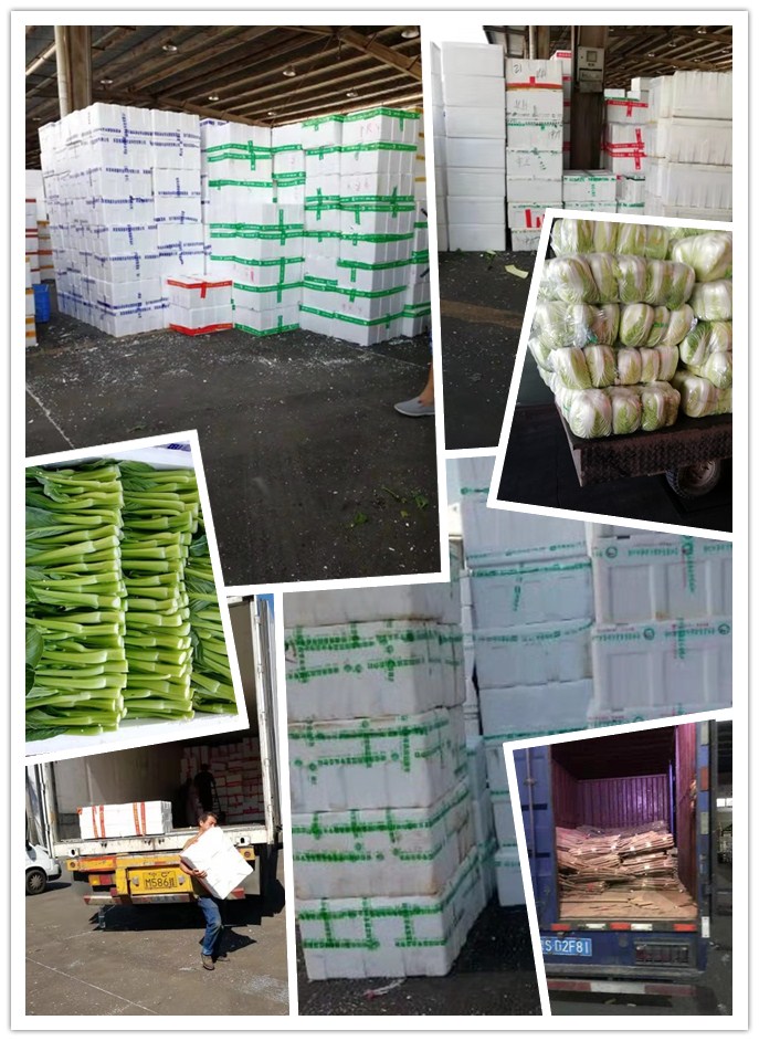 首页- 人生就是博中国官方网站