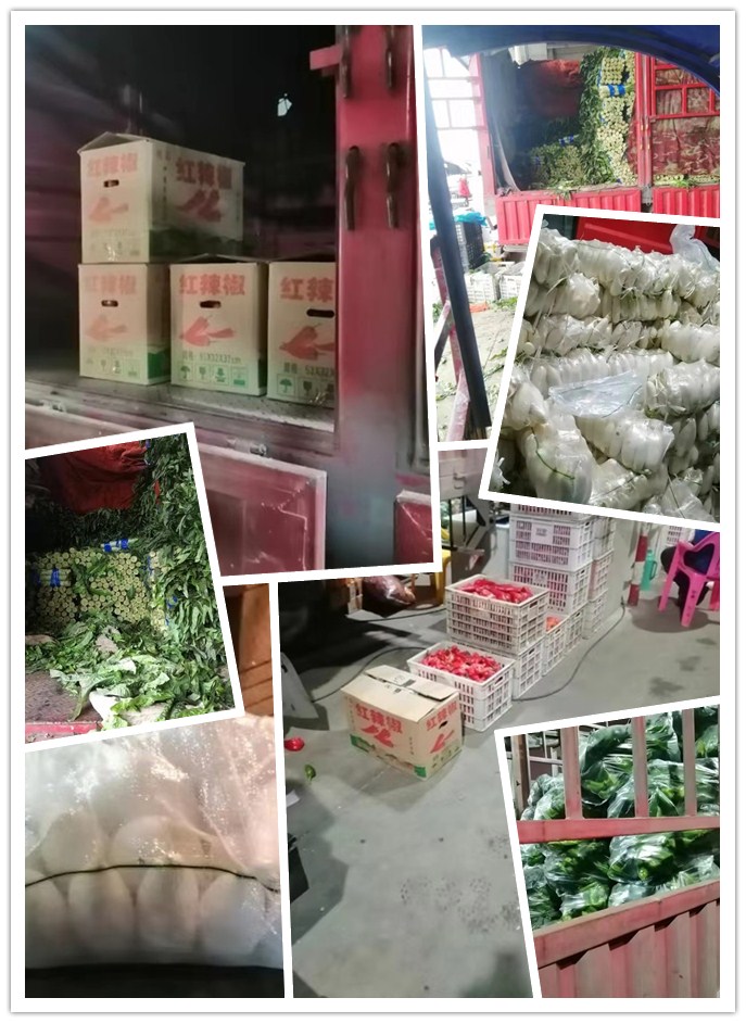 首页- 人生就是博中国官方网站