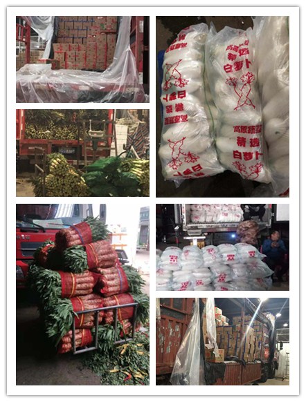 首页- 人生就是博中国官方网站