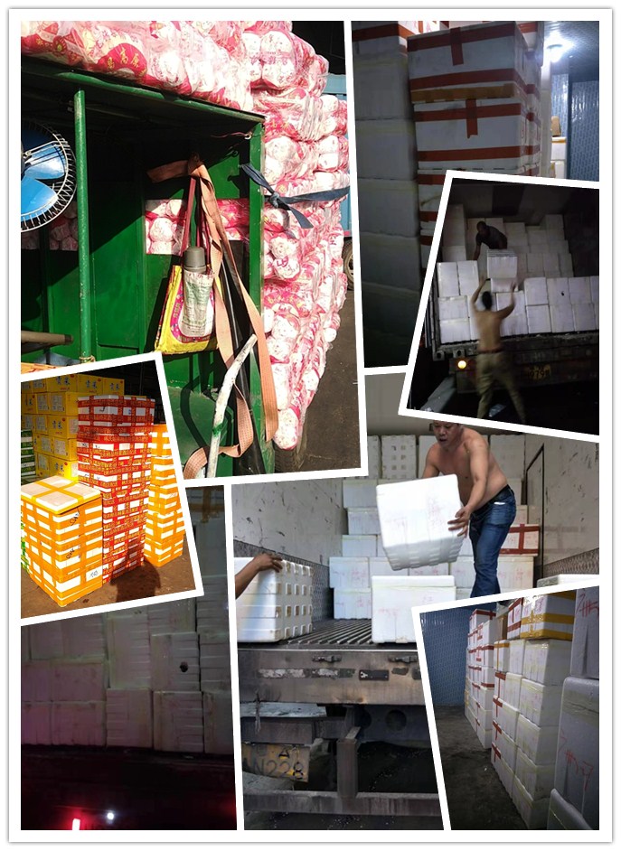 首页- 人生就是博中国官方网站