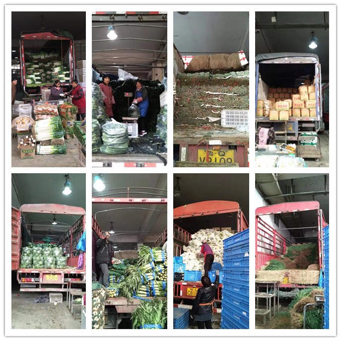 首页- 人生就是博中国官方网站