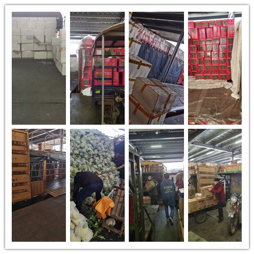 首页- 人生就是博中国官方网站