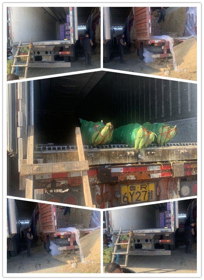 首页- 人生就是博中国官方网站