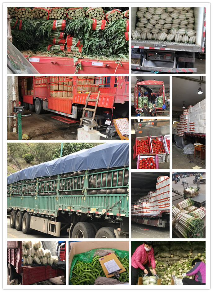 首页- 人生就是博中国官方网站