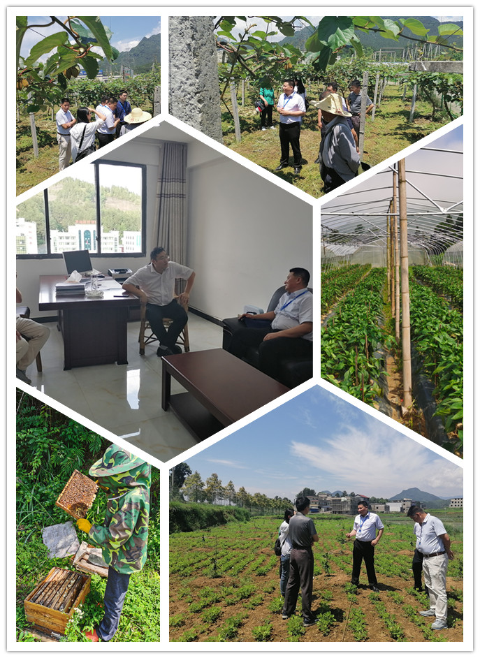 首页- 人生就是博中国官方网站